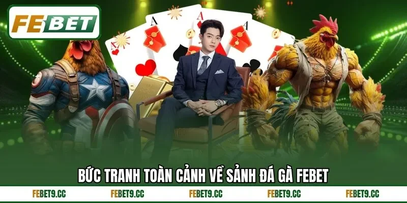 Giới thiệu khu vực phát sóng đá gà Feb88 dành cho hội viên