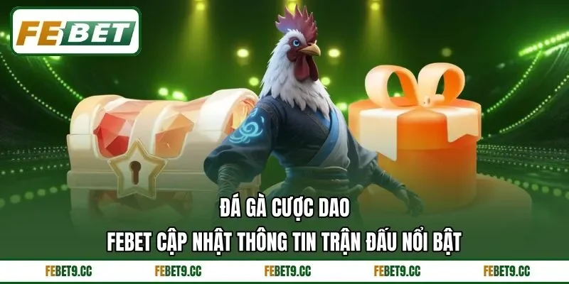 Đá Gà Cược Dao Feb88 Cập Nhật Thông Tin Trận Đấu Nổi Bật