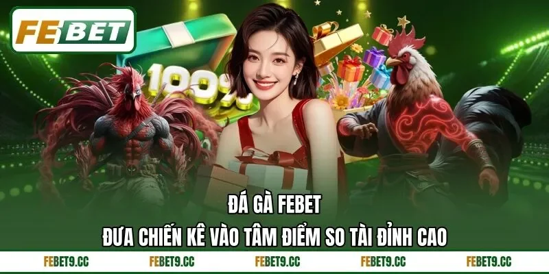 Đá Gà Feb88 – Đưa Chiến Kê Vào Tâm Điểm So Tài Đỉnh Cao