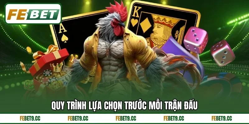 Quy tắc tham gia cược dao cần nắm rõ cho người mới