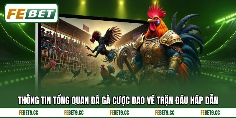 Khái quát về hình thức thi đấu đá gà cựa dao đặc biệt