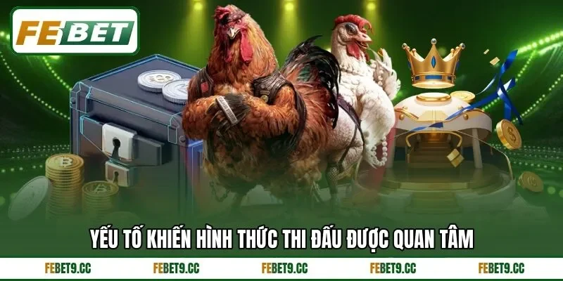 Đặc điểm tạo nên sức hút của trận đấu